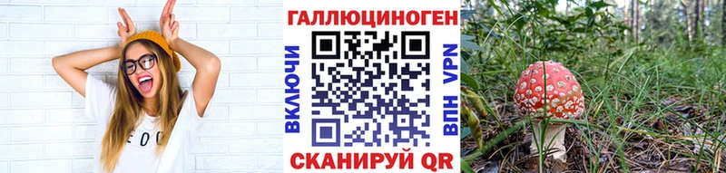 Псилоцибиновые грибы Psilocybine cubensis  как найти наркотики  Балтийск 