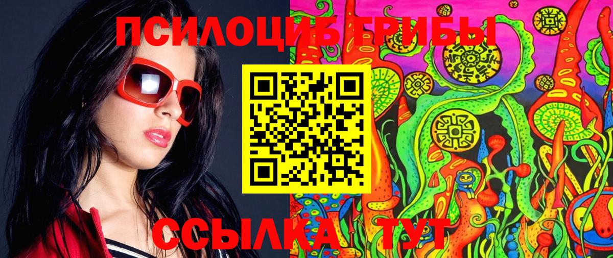 Балтийск  Псилоцибиновые грибы мицелий  Вход с VPN 