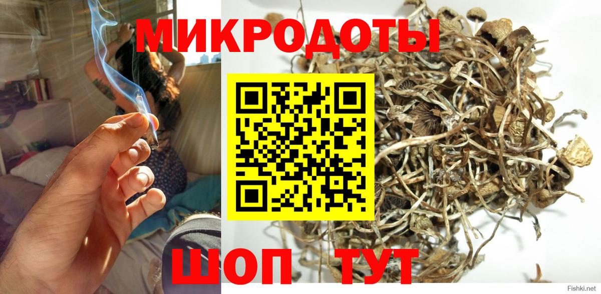Псилоцибиновые грибы мицелий Балтийск