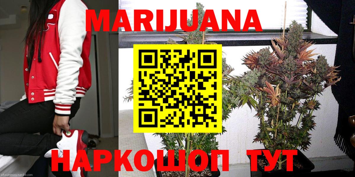 Каннабис марихуана Балтийск